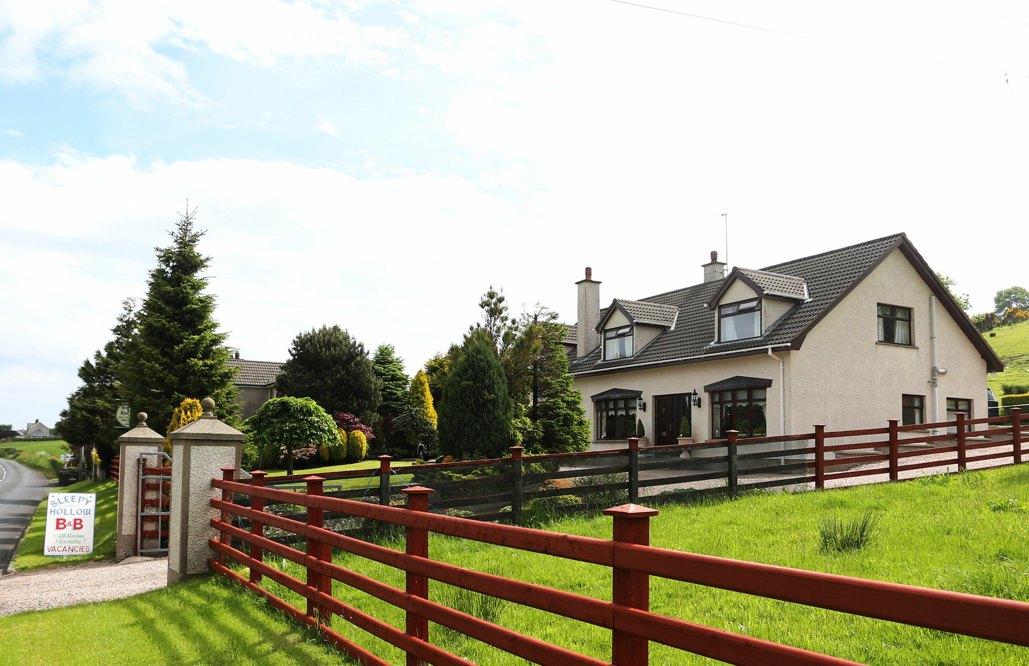 Sleepy Hollow B&B แบลลีมีนา ภายนอก รูปภาพ