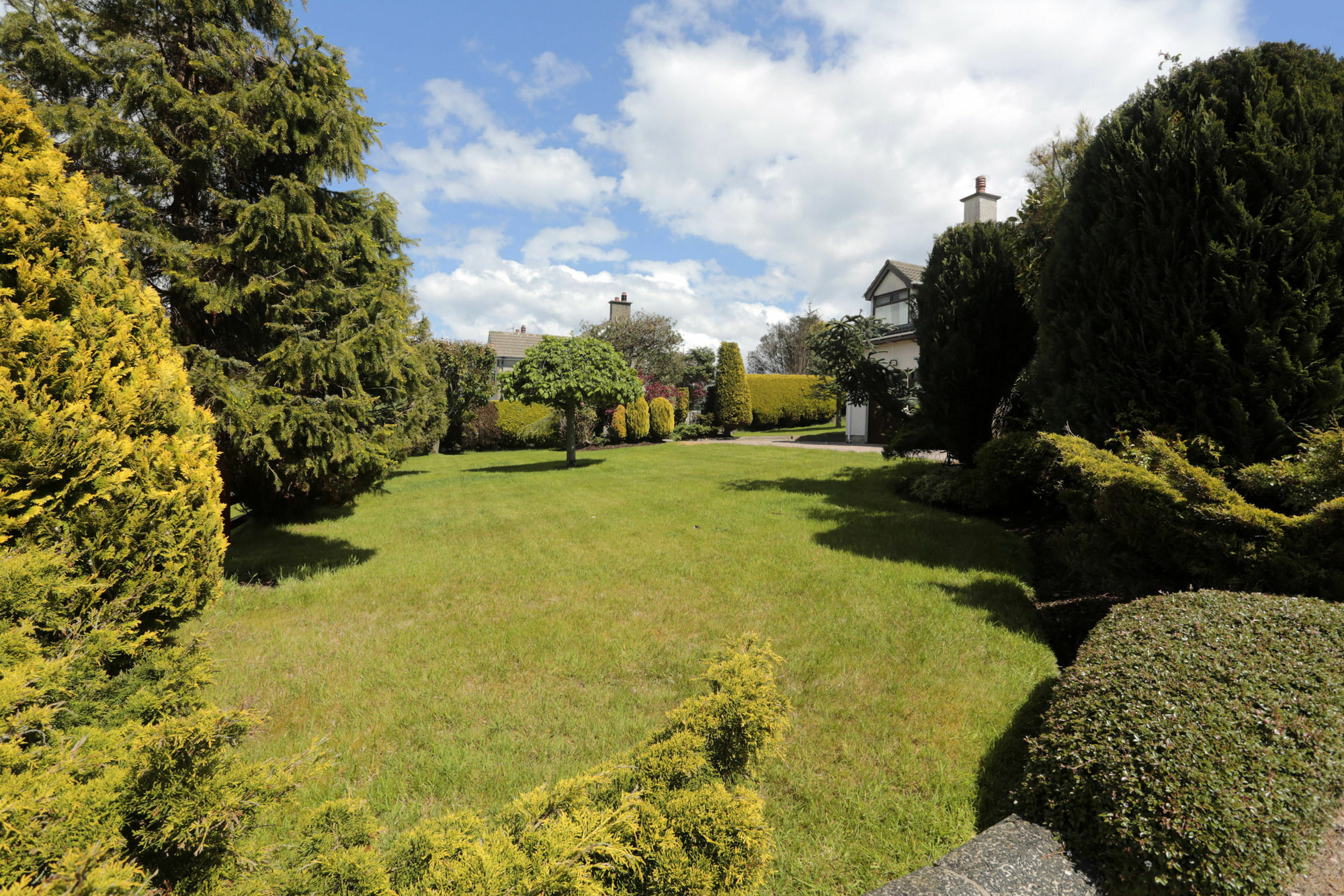 Sleepy Hollow B&B แบลลีมีนา ภายนอก รูปภาพ