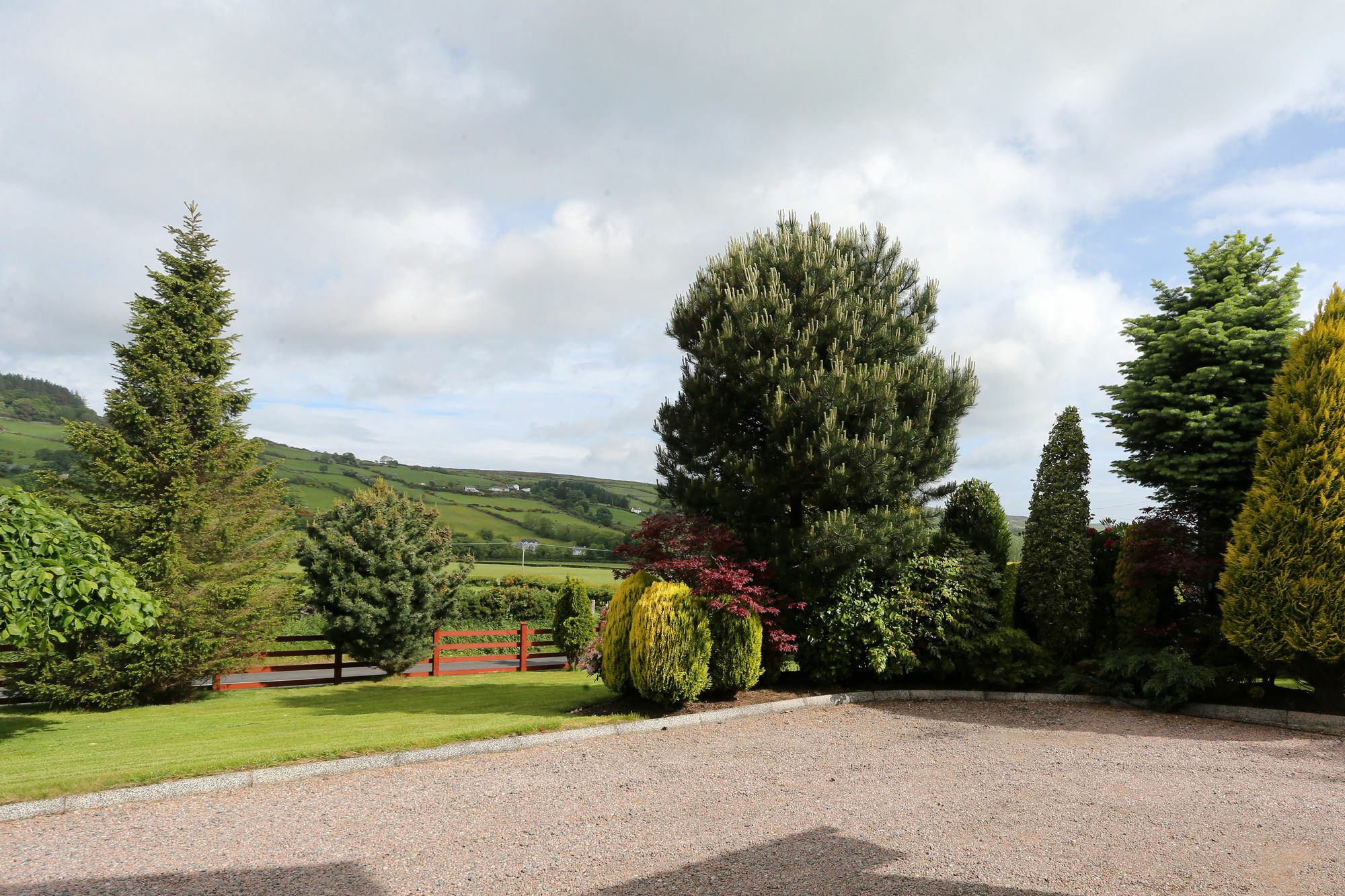 Sleepy Hollow B&B แบลลีมีนา ภายนอก รูปภาพ